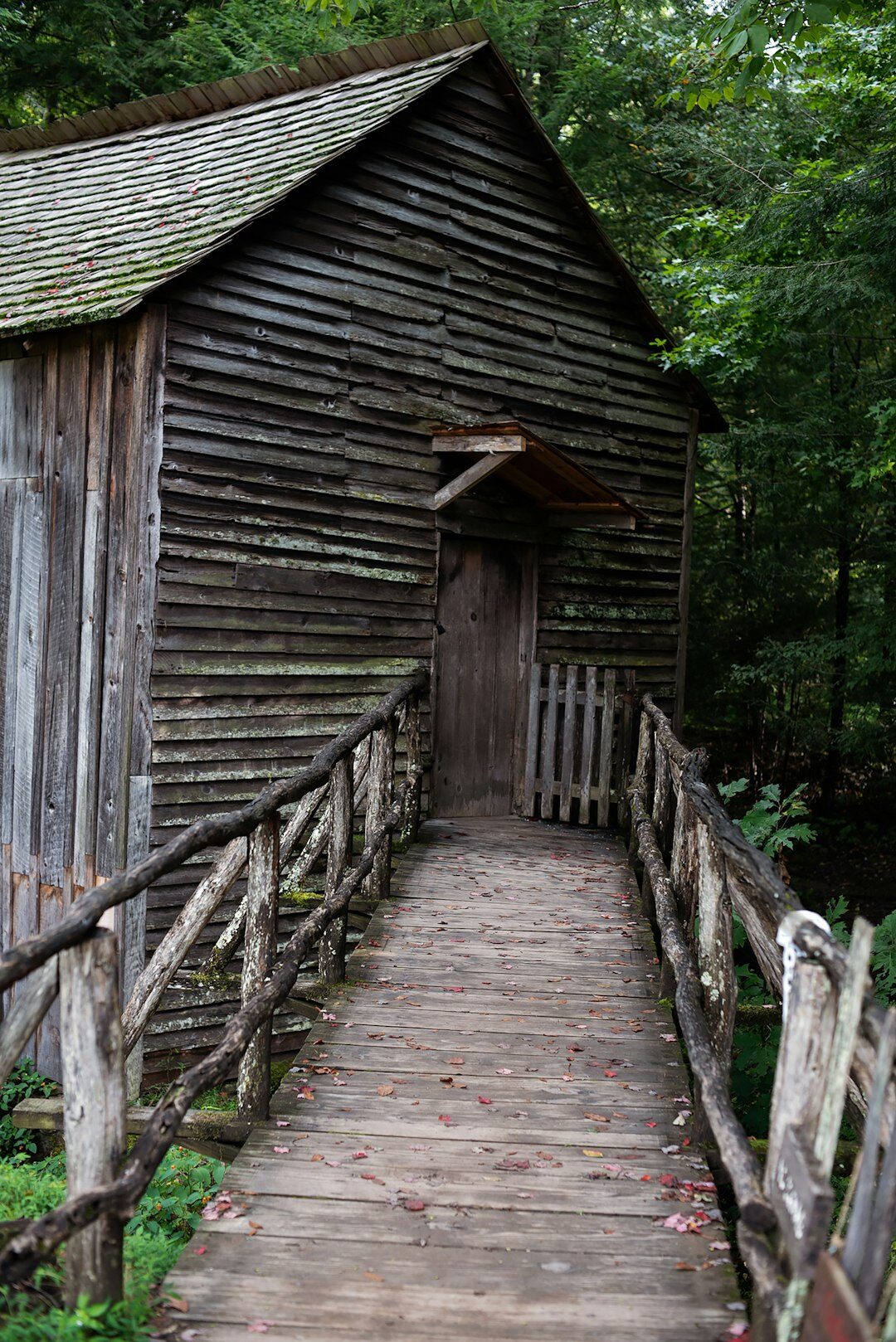 old house in forest